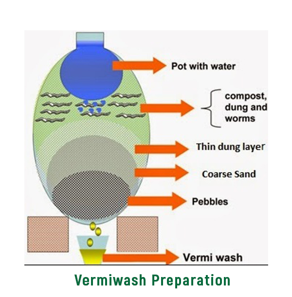 Vermi compost manufacturer