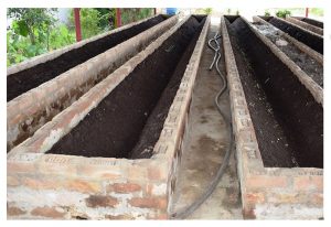 organic farming vermi compost